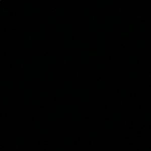 Meet your Posher, Priscilla simon